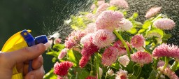 fertilizer