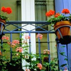 Colorful flowers on the balcony of a house, Villefranche, France