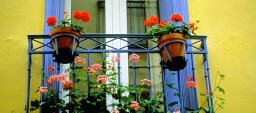 Colorful flowers on the balcony of a house, Villefranche, France