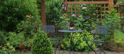 Backyard patio