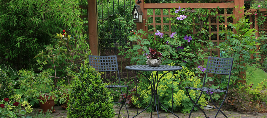 Planting Bushes and Shrubs