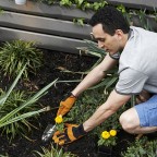 Gardening in urban backyard