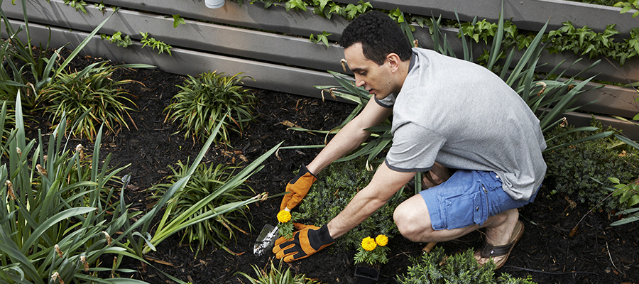 Spring & Summer Maintenance