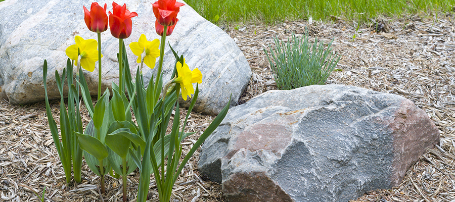 Rocks & Ornaments