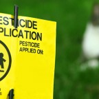 Pesticide Application Lawn Sign