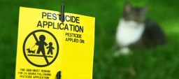 Pesticide Application Lawn Sign