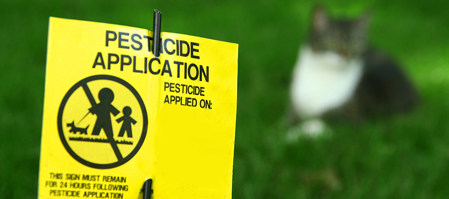 Pesticide Use on Lawns