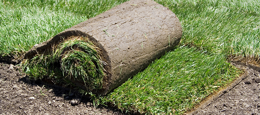 Laying Sod