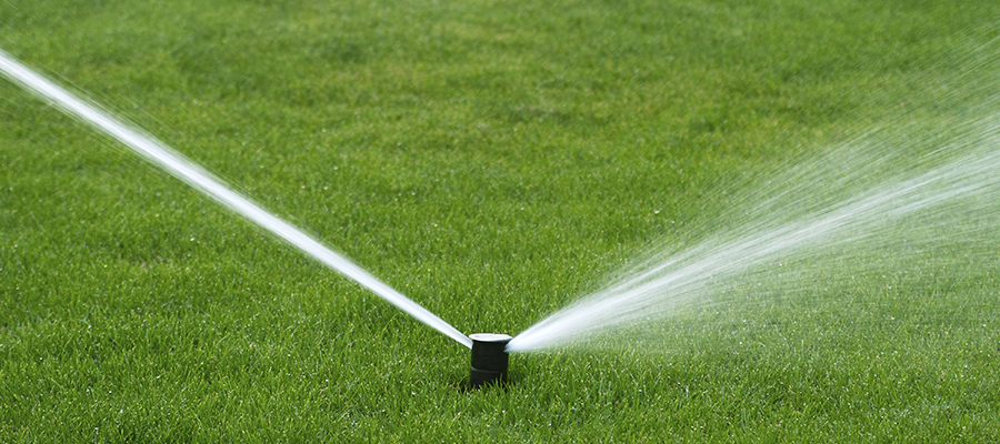 Watering Your Lawn