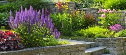 Garden with stone landscaping